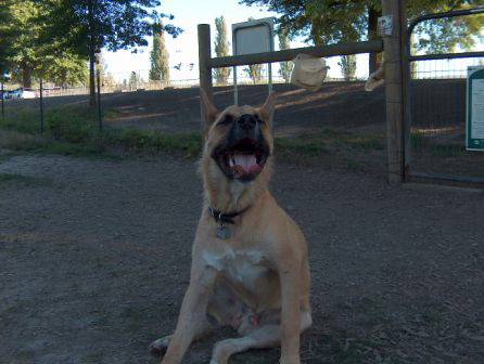 Samson 7-19-05 004