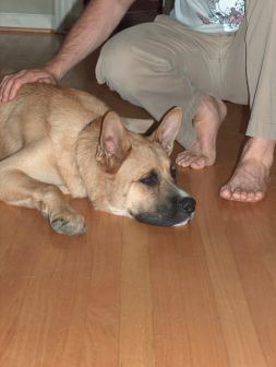 Samson 7-19-05 013
