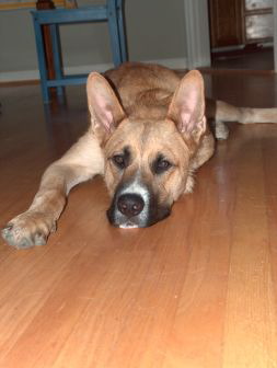 Samson 7-19-05 017