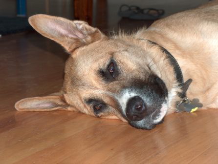 Samson 7-19-05 015