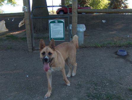 Samson 7-19-05 001