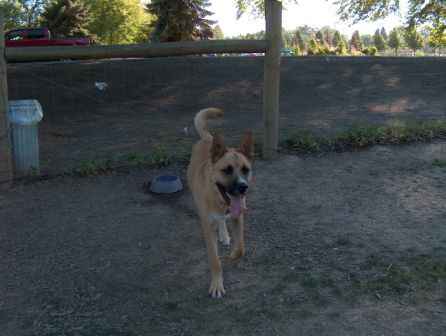 Samson 7-19-05 003