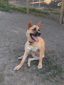 Samson 7-19-05 005