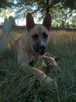 Samson 7-19-05 006