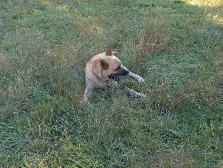 Samson 7-19-05 007