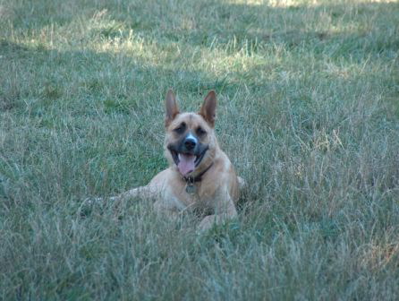 Samson 7-19-05 009