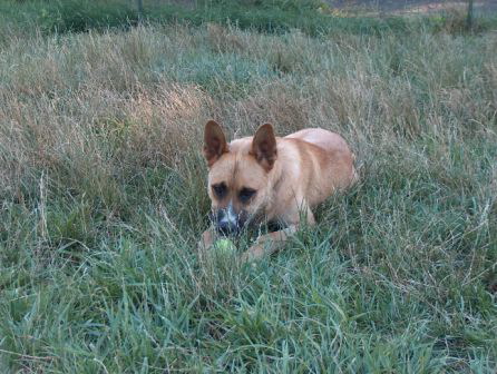 Samson 7-19-05 012