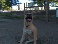Samson 7-19-05 004