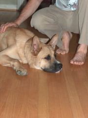 Samson 7-19-05 013