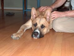 Samson 7-19-05 016