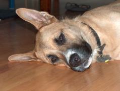 Samson 7-19-05 015