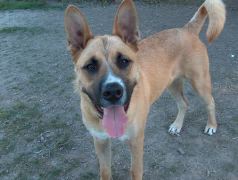 Samson 7-19-05 002