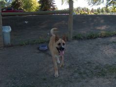 Samson 7-19-05 003