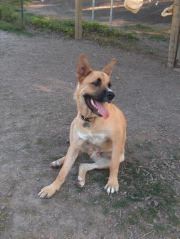 Samson 7-19-05 005