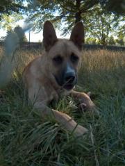 Samson 7-19-05 006