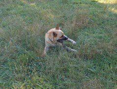 Samson 7-19-05 007