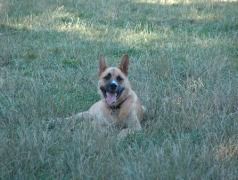 Samson 7-19-05 009
