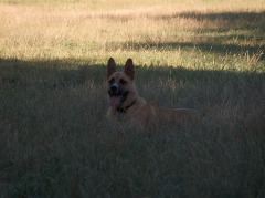 Samson 7-19-05 010