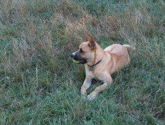 Samson 7-19-05 011