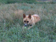 Samson 7-19-05 012